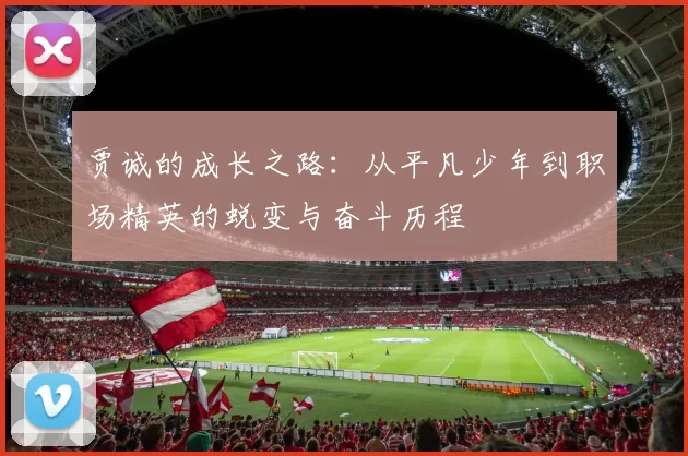 贾诚的成长之路：从平凡少年到职场精英的蜕变与奋斗历程