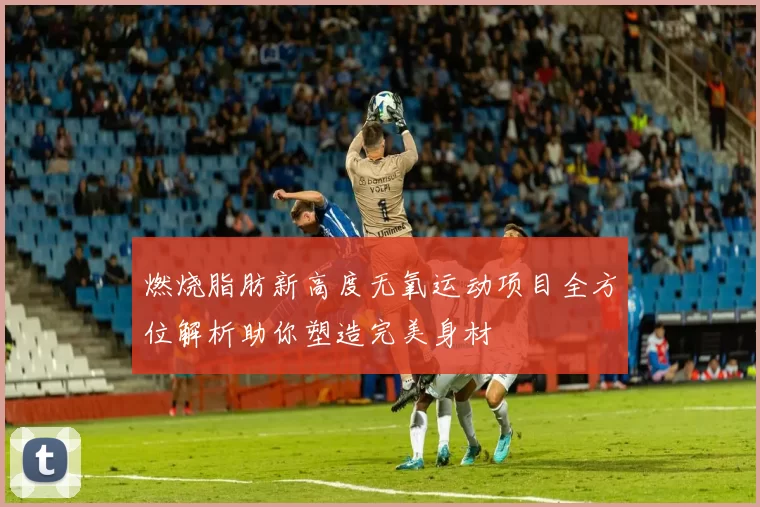 燃烧脂肪新高度无氧运动项目全方位解析助你塑造完美身材